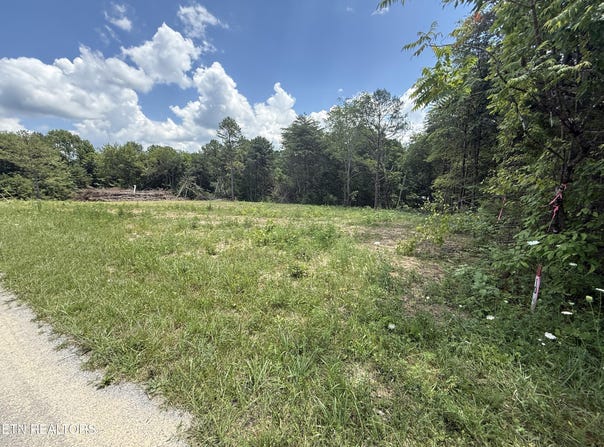 4.6 Ac. Coal Rd, Jamestown, TN 38556