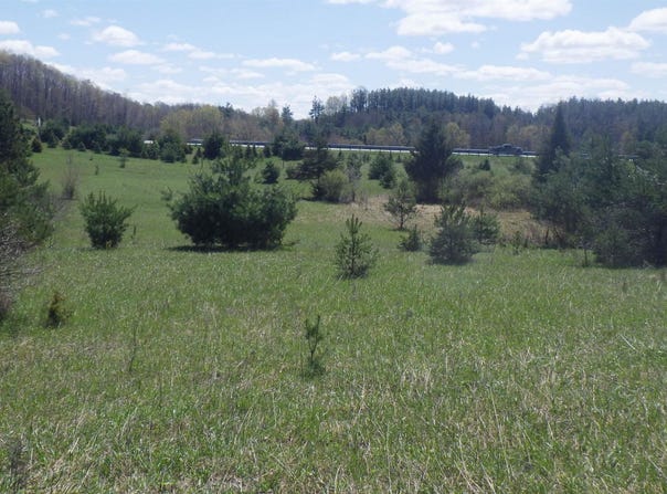 39 Road, Cadillac, MI 49601