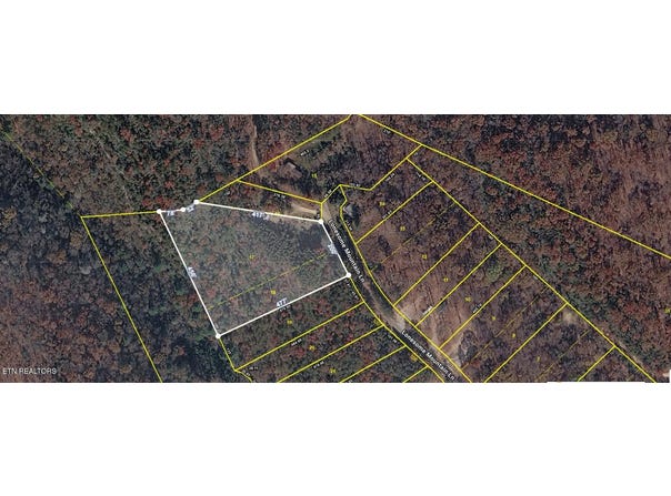 Lonesome Mountain Lane, Pioneer, TN 37847