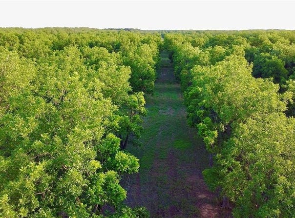 Tbd2 Fm-2318, De Leon, TX 76444