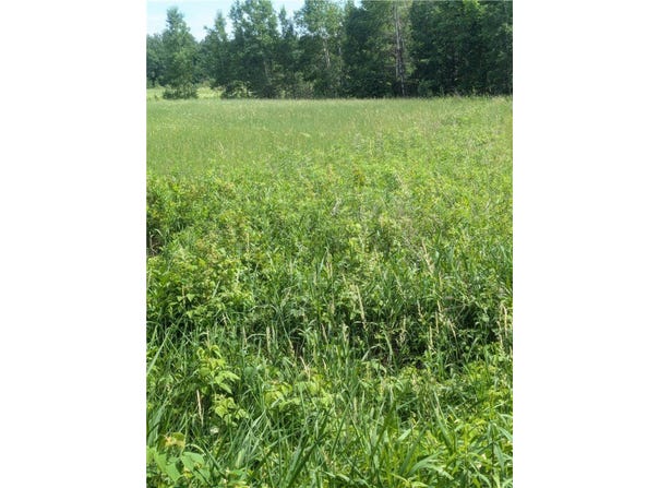 Lot 2 165th Avenue, Stanley, WI 54768