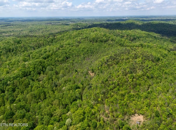 0 Roe/ Jess Lane, Winfield, TN 37892