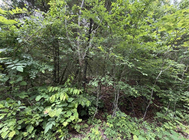 001 Clark Lane, Horseshoe Bend, AR 72512
