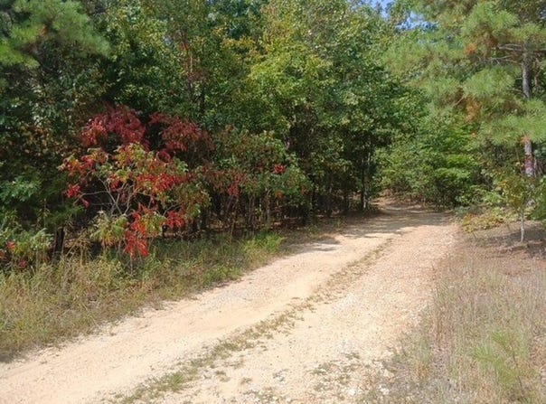 TBD Whitacre Run, Eminence, MO 65466