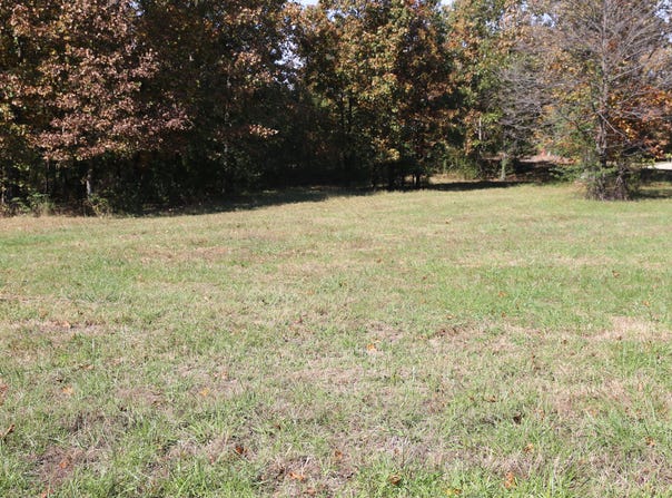Wild Turkey Road, West Plains, MO 65775