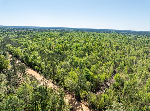 0 WHITAKER Road, Dearing, GA 30808