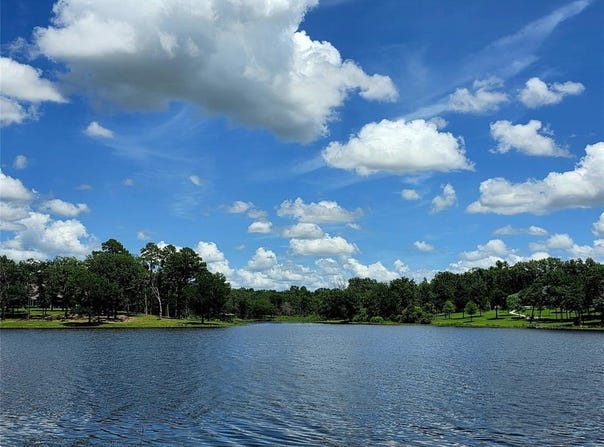 Lot 223 Safari Shores Drive, Larue, TX 75770