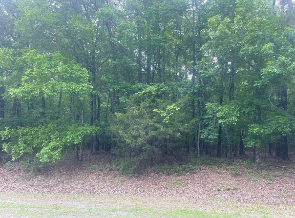Blk12Lot124-128 Grand Isle Drive, Fairfield Bay, AR 72088