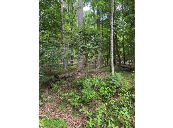 832+ Duffer Drive, Jasper, GA 30143