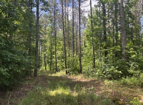 0 Carter Road, Macon, MS 39341