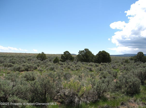 15310 DS Road, Glade Park, CO 81523