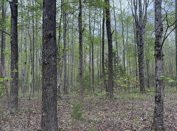 20 S Constitution lot: 5, Dillwyn, VA 23936