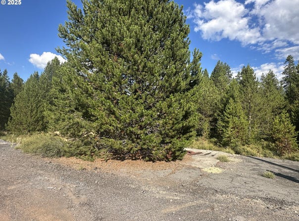 Hwy 97, Crescent, OR 97733
