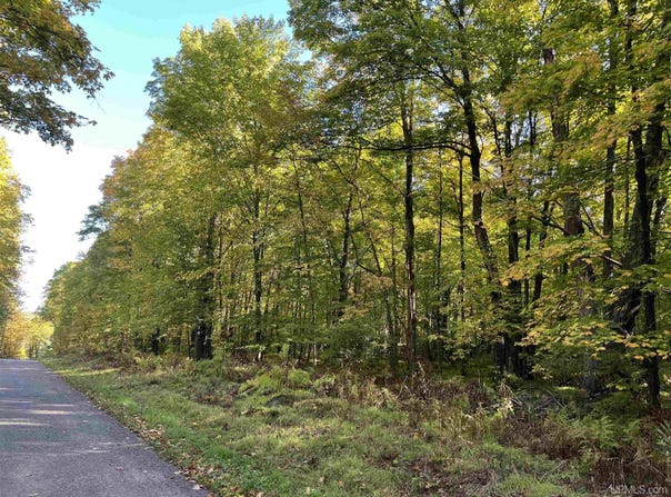 Porcupine Lake Road lot: 5, Long Lake, WI 54542