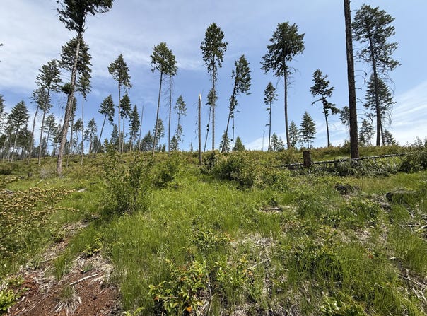 TBD ROCKABYE LN, CURLEW, WA 99118