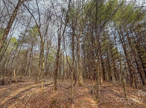 Crestview Drive W, Creston, NC 28615