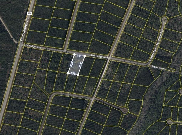 V/L 43 Fox, Waynesville, GA 31566