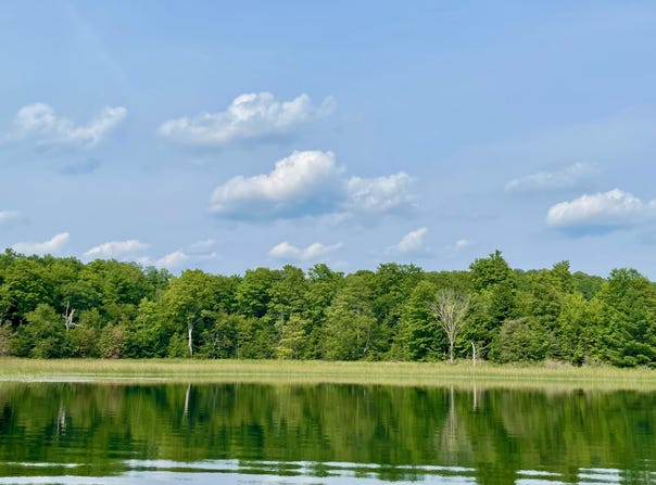 803 GUENTHER RIDGE, GAYLORD, MI 49735