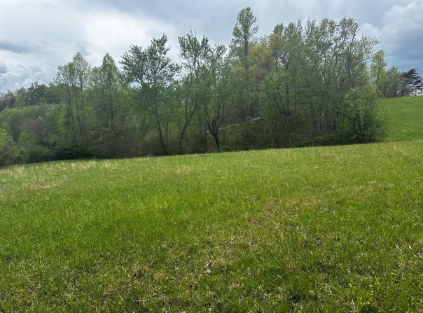 99999 Pine Hill Brock Road, London, KY 40741
