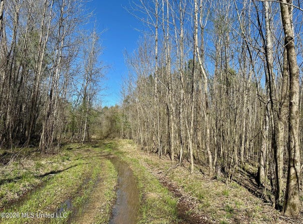 Swamp Road, Carthage, MS 39051