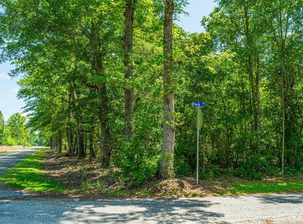 1 Mcalhany Road, Branchville, SC 29432