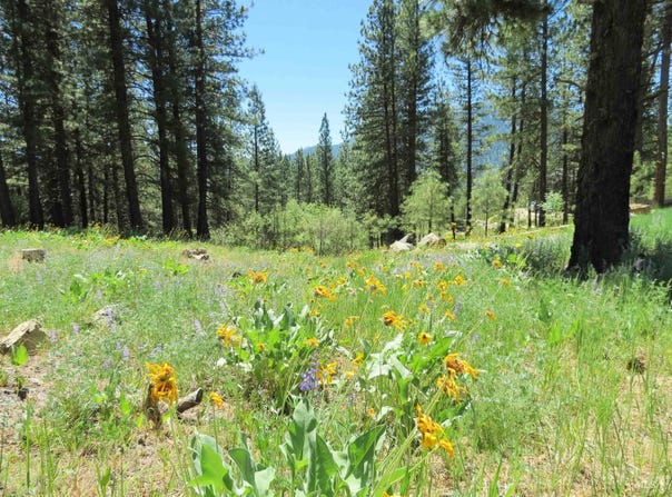 Lot 83 White Pine Dr, Garden Valley, ID 83622