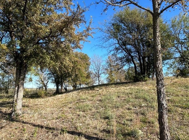 2010 Hidden Bluff Drive, Aledo, TX 76008