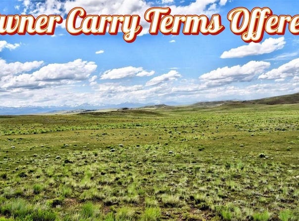 1341 Xtha Trail, Hartsel, CO 80449