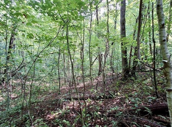 Cross Creek Circle, Sylva, NC 28779