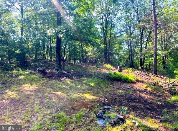 155 BONNEAU LANE, BURLINGTON, WV 26710