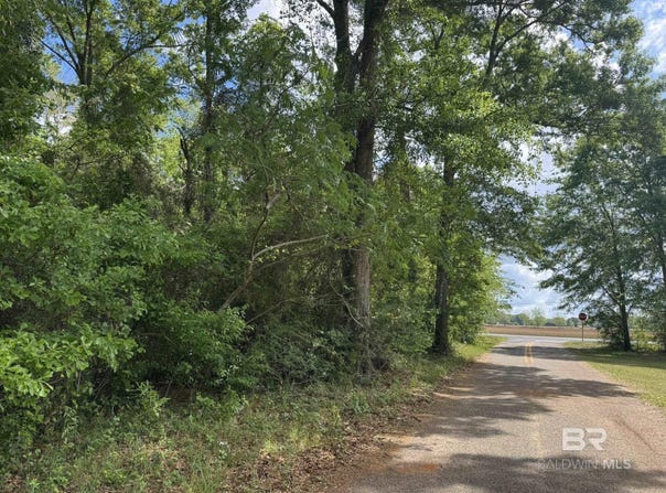 Highway 87, Jay, FL 32565