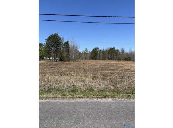 Lot 1 Salem Road, Hartselle, AL 35640