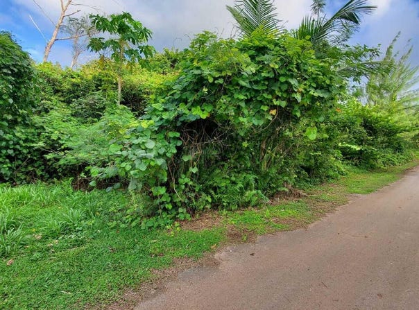 Lot 1 Tract 3021-A, Hagat, GU 96915