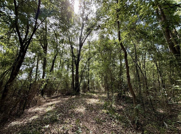 0 Serenity Gardens Road, Theodore, AL 36582
