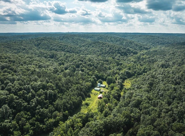 539 County Road 69A, Black, MO 63625
