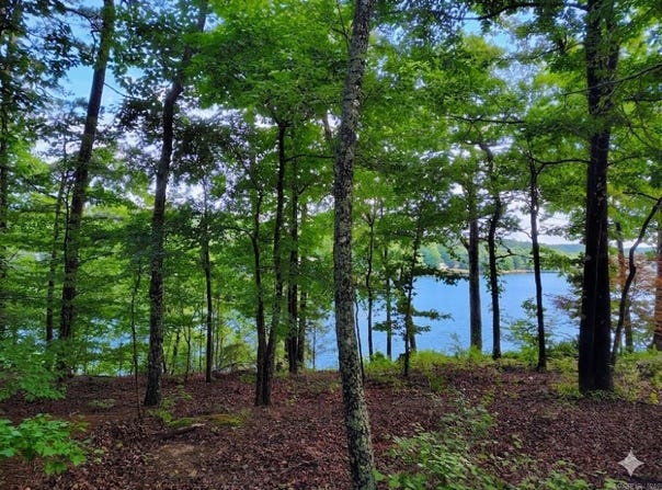 6 Sacedon Circle, Hot Springs Village, AR 71909