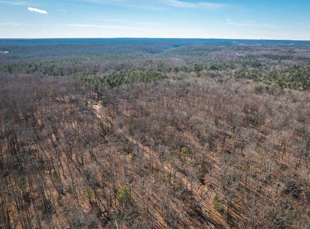 Deason Drive-Tract 1, Licking, MO 65542