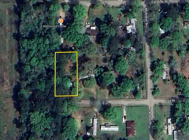16985 Lisa Dr, Livingston, LA 70754