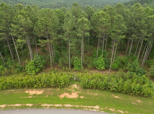 Lot 148 Stables Loop, Blairsville, GA 30512