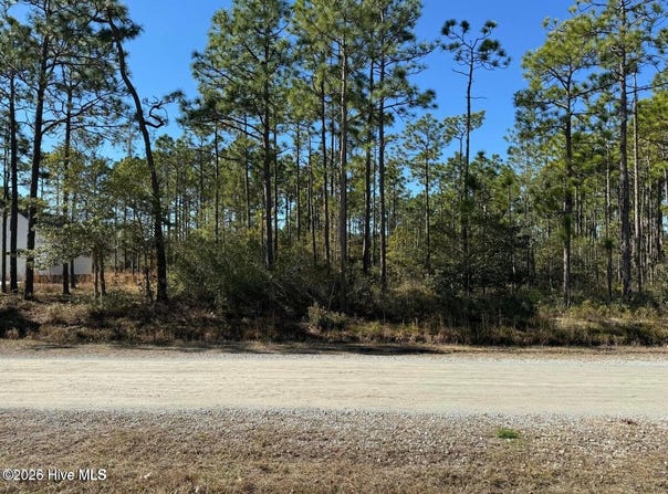 100 Bridges Road, Southport, NC 28461