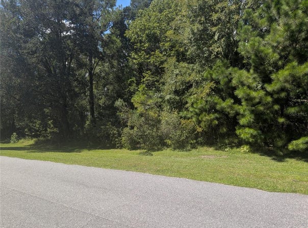 NW 141ST AVE, WILLISTON, FL 32696