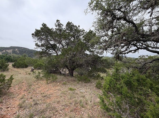 TBD Farm To Market 289, Comfort, TX 78013