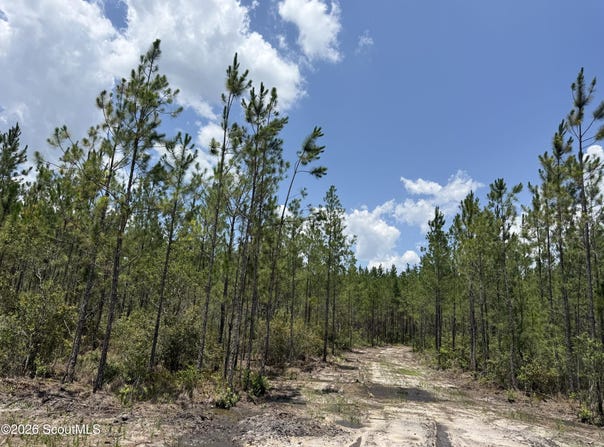 Corbitt Road lot: 7, Manor, GA 31550
