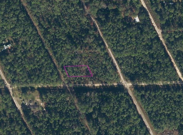216 HERON ROAD, SATSUMA, FL 32189