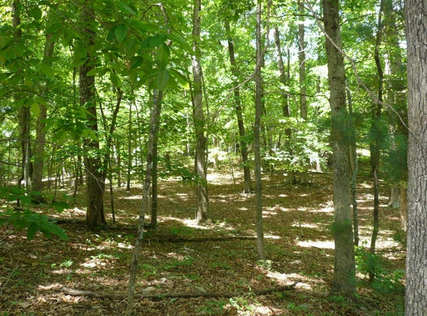 0 Givens Tyler RD, Salem, VA 24153