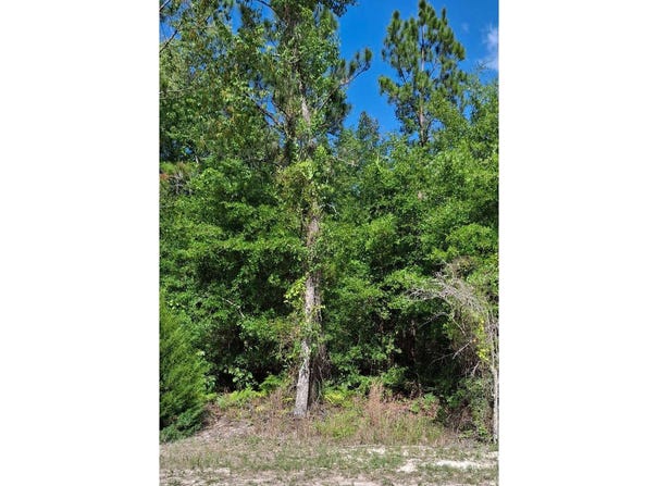 105TH DR., OBrien, FL 32071
