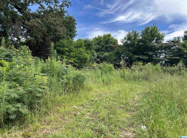 204 STAPP AVENUE, BESSEMER, AL 35022