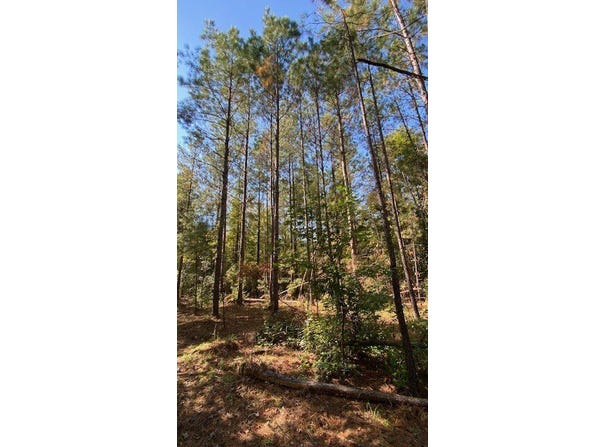 0 Sailor Rd., Creola, AL 36525