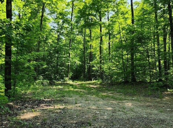 80 W TROPHY LN, HESSEL, MI 49745