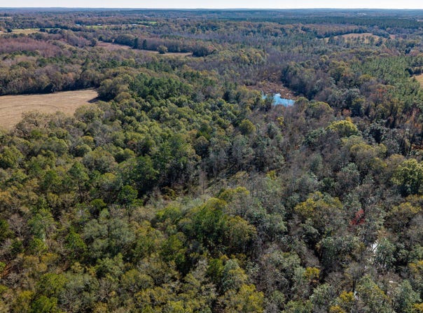 0 Cuthriell Rd, Samson, AL 36477
